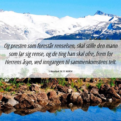 Picture 06 - 3 Mosebok 14:11 NORSK - Og presten som forestår renselsen, skal stille - Bible Verse Picture