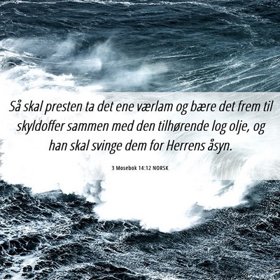 Picture 06 - 3 Mosebok 14:12 NORSK - Så skal presten ta det ene værlam og bære det - Bible Verse Picture