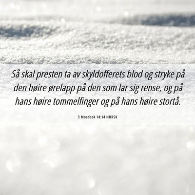Picture 06 - 3 Mosebok 14:14 NORSK - Så skal presten ta av skyldofferets blod og - Bible Verse Picture