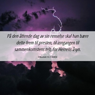 Picture 06 - 3 Mosebok 14:23 NORSK - På den åttende dag av sin renselse skal han - Bible Verse Picture