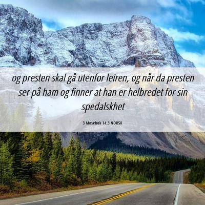 Picture 06 - 3 Mosebok 14:3 NORSK - og presten skal gå utenfor leiren, og når da - Bible Verse Picture
