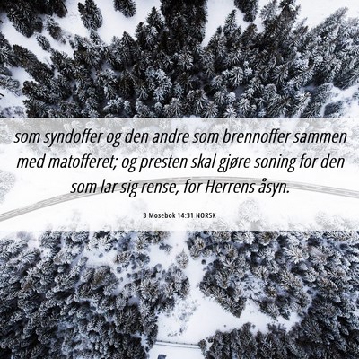 Picture 06 - 3 Mosebok 14:31 NORSK - som syndoffer og den andre som brennoffer sammen - Bible Verse Picture