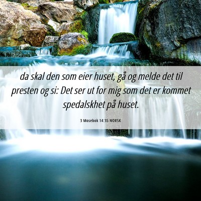Picture 06 - 3 Mosebok 14:35 NORSK - da skal den som eier huset, gå og melde det til - Bible Verse Picture