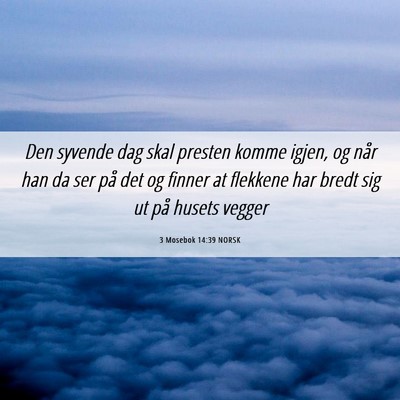 Picture 06 - 3 Mosebok 14:39 NORSK - Den syvende dag skal presten komme igjen, og når - Bible Verse Picture