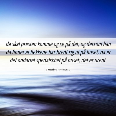 Picture 06 - 3 Mosebok 14:44 NORSK - da skal presten komme og se på det, og dersom - Bible Verse Picture