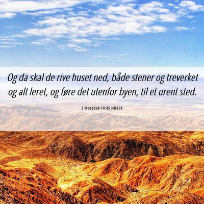 Picture 06 - 3 Mosebok 14:45 NORSK - Og da skal de rive huset ned, både stener og - Bible Verse Picture