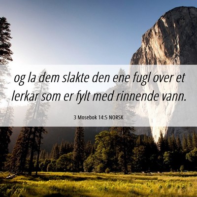 Picture 06 - 3 Mosebok 14:5 NORSK - og la dem slakte den ene fugl over et lerkar som - Bible Verse Picture