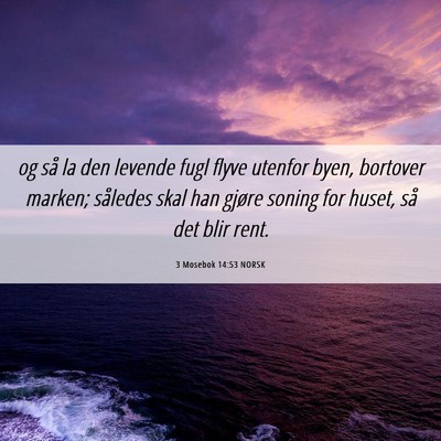 Picture 06 - 3 Mosebok 14:53 NORSK - og så la den levende fugl flyve utenfor byen, - Bible Verse Picture