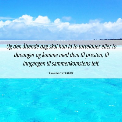 Picture 06 - 3 Mosebok 15:29 NORSK - Og den åttende dag skal hun ta to turtelduer - Bible Verse Picture