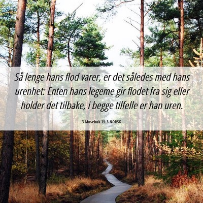 Picture 06 - 3 Mosebok 15:3 NORSK - Så lenge hans flod varer, er det således med - Bible Verse Picture