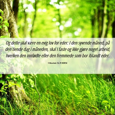 Picture 06 - 3 Mosebok 16:29 NORSK - Og dette skal være en evig lov for eder: I den - Bible Verse Picture