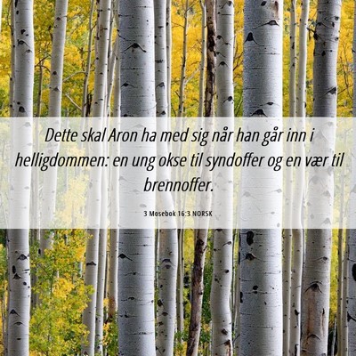 Picture 06 - 3 Mosebok 16:3 NORSK - Dette skal Aron ha med sig når han går inn i - Bible Verse Picture