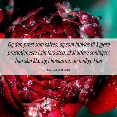 Picture 06 - 3 Mosebok 16:32 NORSK - Og den prest som salves, og som innvies til å - Bible Verse Picture