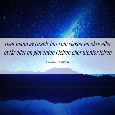 Picture 06 - 3 Mosebok 17:3 NORSK - Hver mann av Israels hus som slakter en okse - Bible Verse Picture