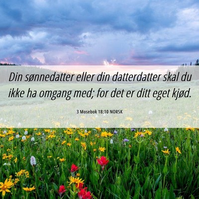 Picture 06 - 3 Mosebok 18:10 NORSK - Din sønnedatter eller din datterdatter skal du - Bible Verse Picture