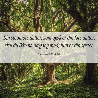 Picture 06 - 3 Mosebok 18:11 NORSK - Din stedmors datter, som også er din fars - Bible Verse Picture