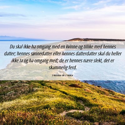 Picture 06 - 3 Mosebok 18:17 NORSK - Du skal ikke ha omgang med en kvinne og tillike - Bible Verse Picture