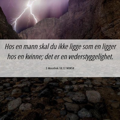 Picture 06 - 3 Mosebok 18:22 NORSK - Hos en mann skal du ikke ligge som en ligger hos - Bible Verse Picture