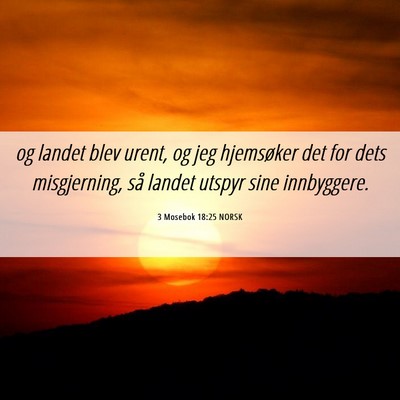 Picture 06 - 3 Mosebok 18:25 NORSK - og landet blev urent, og jeg hjemsøker det for - Bible Verse Picture