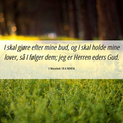 Picture 06 - 3 Mosebok 18:4 NORSK - I skal gjøre efter mine bud, og I skal holde - Bible Verse Picture