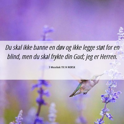Picture 06 - 3 Mosebok 19:14 NORSK - Du skal ikke banne en døv og ikke legge støt - Bible Verse Picture