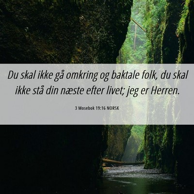 Picture 06 - 3 Mosebok 19:16 NORSK - Du skal ikke gå omkring og baktale folk, du skal - Bible Verse Picture