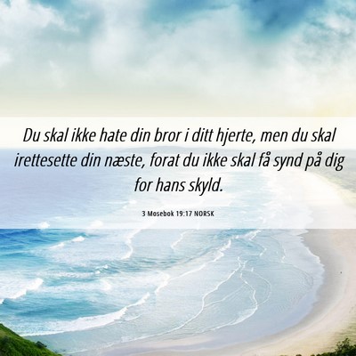 Picture 06 - 3 Mosebok 19:17 NORSK - Du skal ikke hate din bror i ditt hjerte, men du - Bible Verse Picture