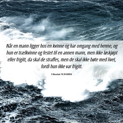 Picture 06 - 3 Mosebok 19:20 NORSK - Når en mann ligger hos en kvinne og har omgang - Bible Verse Picture