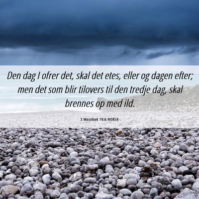 Picture 06 - 3 Mosebok 19:6 NORSK - Den dag I ofrer det, skal det etes, eller og - Bible Verse Picture