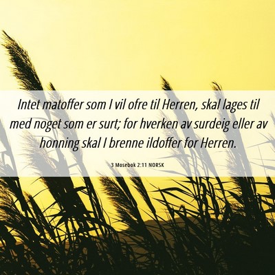 Picture 06 - 3 Mosebok 2:11 NORSK - Intet matoffer som I vil ofre til Herren, skal - Bible Verse Picture