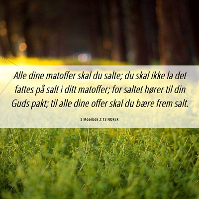 Picture 06 - 3 Mosebok 2:13 NORSK - Alle dine matoffer skal du salte; du skal ikke la - Bible Verse Picture