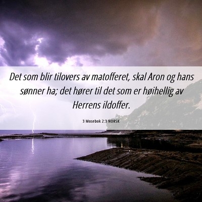 Picture 06 - 3 Mosebok 2:3 NORSK - Det som blir tilovers av matofferet, skal Aron og - Bible Verse Picture