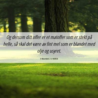 Picture 06 - 3 Mosebok 2:5 NORSK - Og dersom ditt offer er et matoffer som er stekt - Bible Verse Picture