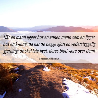 Picture 06 - 3 Mosebok 20:13 NORSK - Når en mann ligger hos en annen mann som en - Bible Verse Picture