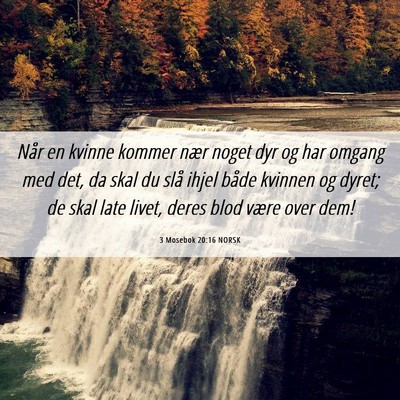 Picture 06 - 3 Mosebok 20:16 NORSK - Når en kvinne kommer nær noget dyr og har - Bible Verse Picture