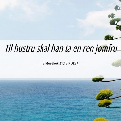 Picture 06 - 3 Mosebok 21:13 NORSK - Til hustru skal han ta en ren - Bible Verse Picture