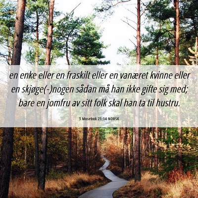 Picture 06 - 3 Mosebok 21:14 NORSK - en enke eller en fraskilt eller en vanæret - Bible Verse Picture