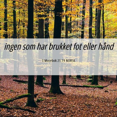 Picture 06 - 3 Mosebok 21:19 NORSK - ingen som har brukket fot eller - Bible Verse Picture