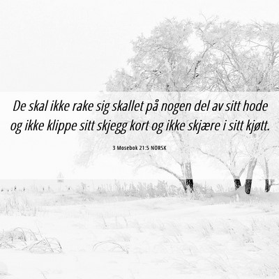 Picture 06 - 3 Mosebok 21:5 NORSK - De skal ikke rake sig skallet på nogen del av - Bible Verse Picture