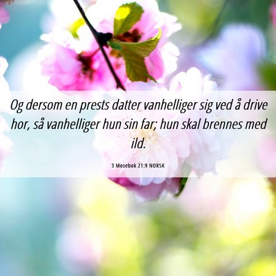 Picture 06 - 3 Mosebok 21:9 NORSK - Og dersom en prests datter vanhelliger sig ved å - Bible Verse Picture