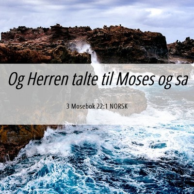 Picture 06 - 3 Mosebok 22:1 NORSK - Og Herren talte til Moses og - Bible Verse Picture