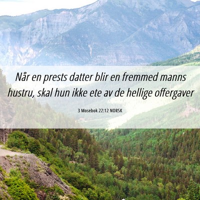 Picture 06 - 3 Mosebok 22:12 NORSK - Når en prests datter blir en fremmed manns - Bible Verse Picture