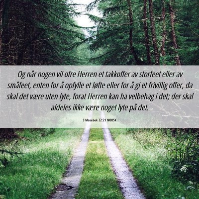 Picture 06 - 3 Mosebok 22:21 NORSK - Og når nogen vil ofre Herren et takkoffer av - Bible Verse Picture