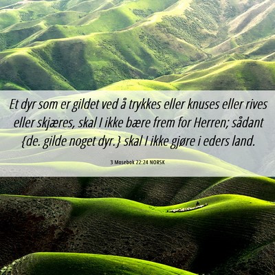Picture 06 - 3 Mosebok 22:24 NORSK - Et dyr som er gildet ved å trykkes eller knuses - Bible Verse Picture
