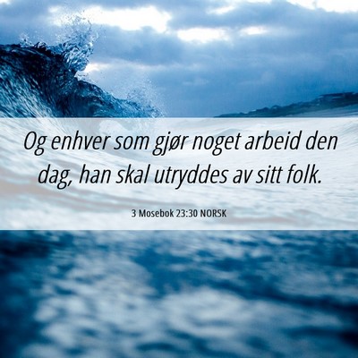Picture 06 - 3 Mosebok 23:30 NORSK - Og enhver som gjør noget arbeid den dag, han - Bible Verse Picture