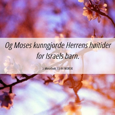 Picture 06 - 3 Mosebok 23:44 NORSK - Og Moses kunngjorde Herrens høitider for Israels - Bible Verse Picture