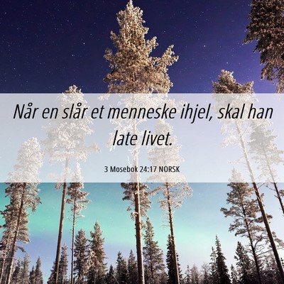Picture 06 - 3 Mosebok 24:17 NORSK - Når en slår et menneske ihjel, skal han late - Bible Verse Picture