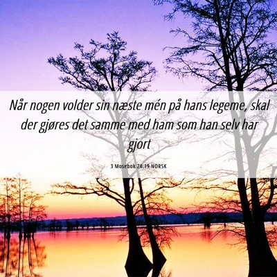 Picture 06 - 3 Mosebok 24:19 NORSK - Når nogen volder sin næste mén på hans - Bible Verse Picture