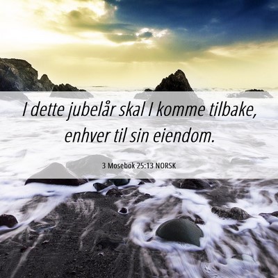 Picture 06 - 3 Mosebok 25:13 NORSK - I dette jubelår skal I komme tilbake, enhver til - Bible Verse Picture