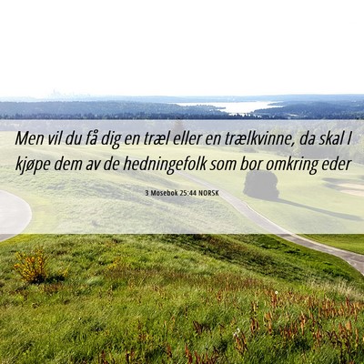 Picture 06 - 3 Mosebok 25:44 NORSK - Men vil du få dig en træl eller en trælkvinne, - Bible Verse Picture